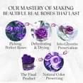 thumbnail image 6 of GLAMOUR BOUTIQUE 7-Piece Forever Flowers Heart Shape Box - Preserved Roses, Immortal Roses That Last A Year - Eternal Rose Preserved Flowers for Delivery Prime Mothers Day & Valentines Day - Purple, 6 of 9