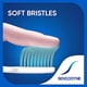 thumbnail image 5 of Sensodyne Sensitive cepillo de dientes suave y sensible, 3 unidades (paquete de 2), 5 of 5