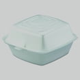 Dart 50HT1 White Foam 5 inch Clamshell Hinged Container, Disposable ...