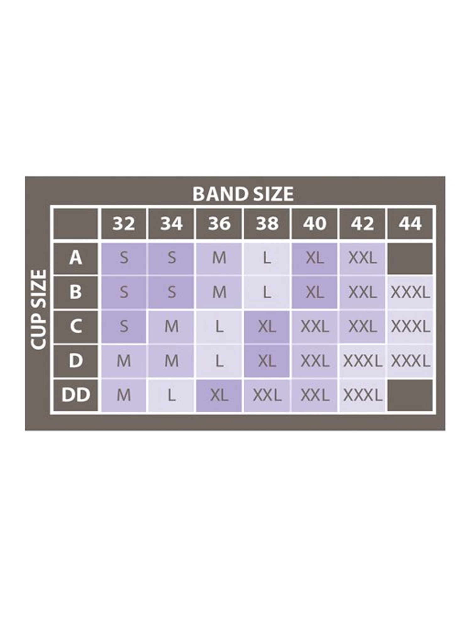 Avia Racerback Sports Bra for Women, Medium Support, S-3XL, 2-Pack
