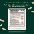 thumbnail image 3 of The Genius Brand Burn, Caffeine-Free - 60 Veggie Capsules, 3 of 9
