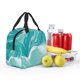 thumbnail image 5 of Easygdp Teal Turquoise 1 Bolsa Térmica Premium - Tela Oxford Impermeable, Gran Capacidad, Bolsillo Frontal, Unisex para Trabajo, Escuela, Actividades al Aire Libre y Picnics, 5 of 8