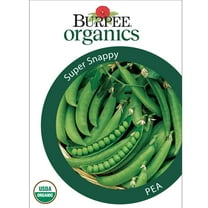 Burpee Organics Super Snappy Pea Seeds - Non-GMO, Snap Pea, Organic Vegetable Gardening Seeds, 21g, 1-Pack