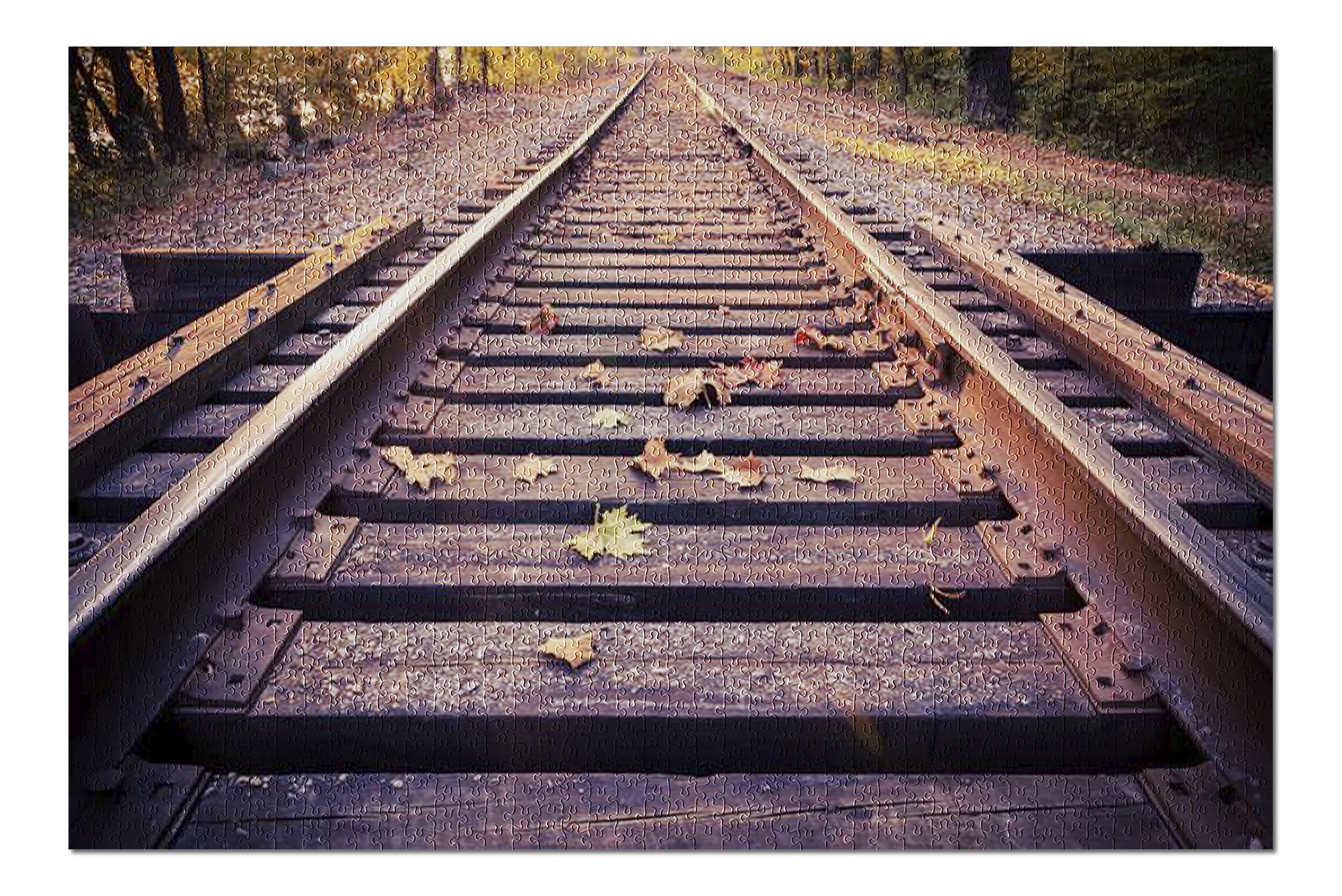 Close Up of Railroad Train Tracks with Fall Leaves 9014813 (20x30 Premium 1000 Piece Jigsaw