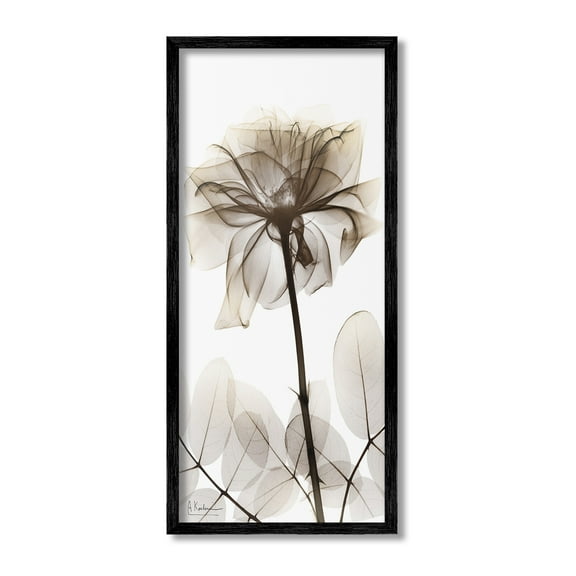 Stupell Industries Blooming Opaque Flower Botanical & Floral Photography Black Framed Art Print Wall Art, 10 x 24