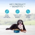 thumbnail image 4 of Adult - Life Protection - Beef - Dry Dog Food, 4 of 5