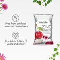 thumbnail image 3 of Herbion Naturals Zinc, Echinacea & Vitamin C Lozenges with Natural Cherry Flavor - 25 CT – Dietary Supplement for Adults & Children 5+ – Supports Immune System – Promotes Wellness for the Whole Family, 3 of 7