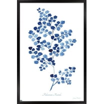 Jean Plout - Indigo Botanical Adiantum Assimle Wall Poster, 14.725" x 22.375" Framed