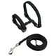thumbnail image 4 of Arnés para gatos, collar ajustable de nailon con correa, arnés de seguridad con sistema de liberación rápida para gatos pequeños, perros y mascotas para paseos al aire libre, color negro., 4 of 8