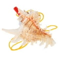 thumbnail image 1 of Concha de mar, cuerno de concha, silbato de concha de mar natural, juguete para niños, concha de playa, cuerno de concha, decoración de concha, juguete de concha para niños, juguete de viaje y turismo, 1 of 7