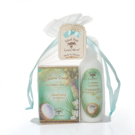 Creamy Coconut Organza Gift Bag