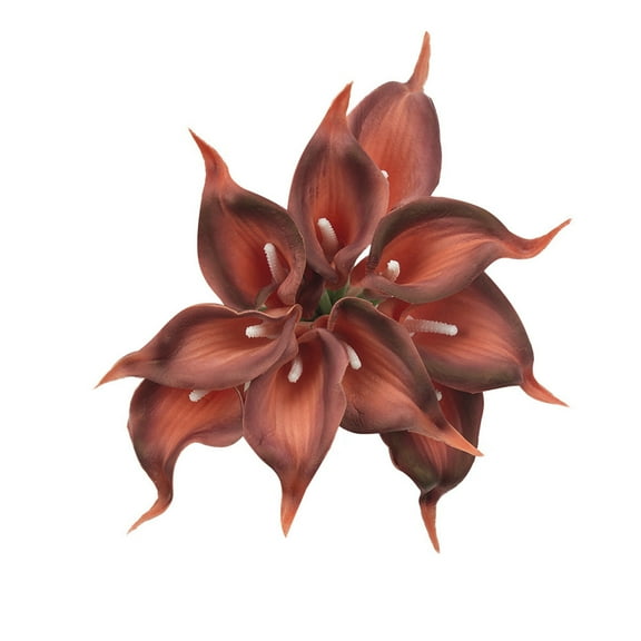 VerPetridure 10 Pc Horseshoe Flower Artificial Flowers Real Touch Artificial Bunch Fake Flowers Wedding Home Garden Photography Decorative Fake Flowers 10PC Water Chestnu Artificial Flowers Really M