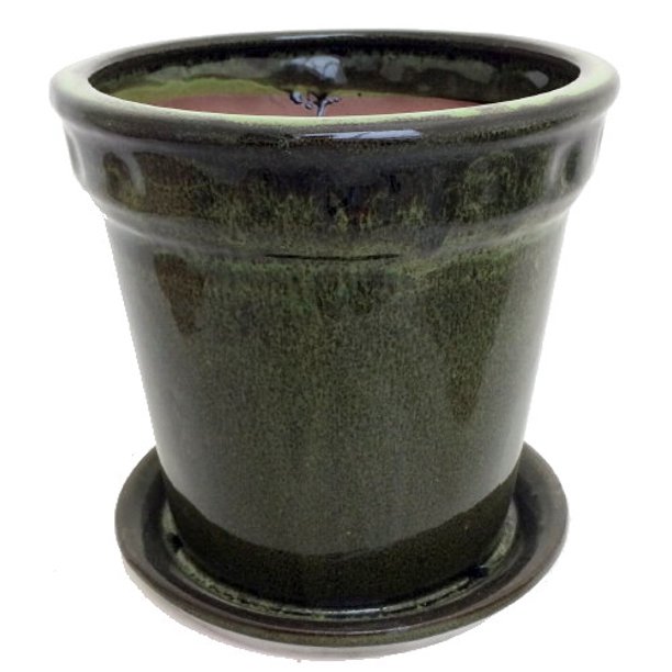 Decorative Cylinder Glazed Ceramic Pot and Saucer Tropical Green 6