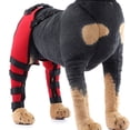 thumbnail image 4 of Primegos Dog Knee Brace for Torn ACL Hind Leg Adjustable Dual Back Leg Support for Luxating Patella Ligament Injuries Osteoarthritis, 4 of 8