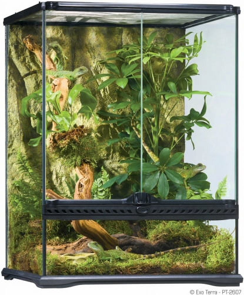 Crested gecko terrarium kit hotsell