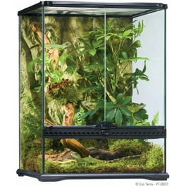 Crested gecko kit hot sale