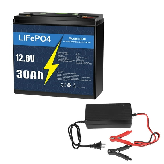 12V 30Ah LiFePO4 Lithium Battery with 10A Charger, Deep Cycle, for Trolling Motor