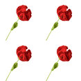 thumbnail image 1 of Clavel Ganchillo Punto Terminado para Cumpleaños Boda () Rojo, 1 of 4