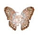 thumbnail image 1 of Moda Crystal Butterfly Mujeres Lady Hair Claw Clips Barrette Hair Clamp - Champagne Macarena pinza de pelo de garra, 1 of 6