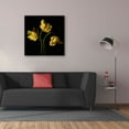 thumbnail image 3 of Epic Graffiti 'Yellow Parrot Trio' by Leah McLean,, 37"x37", 3 of 8
