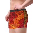 thumbnail image 4 of Daiia Design Name All Over Print Boxer Briefs -Size Name Multicolor Ultra Soft Performance Boxer Briefs, 4 of 9
