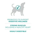 thumbnail image 6 of (2 pack) Purina ONE Plus Digestive Health Dry Dog Food for Adults, High Protein Chicken, 8 lb Bag, 6 of 11
