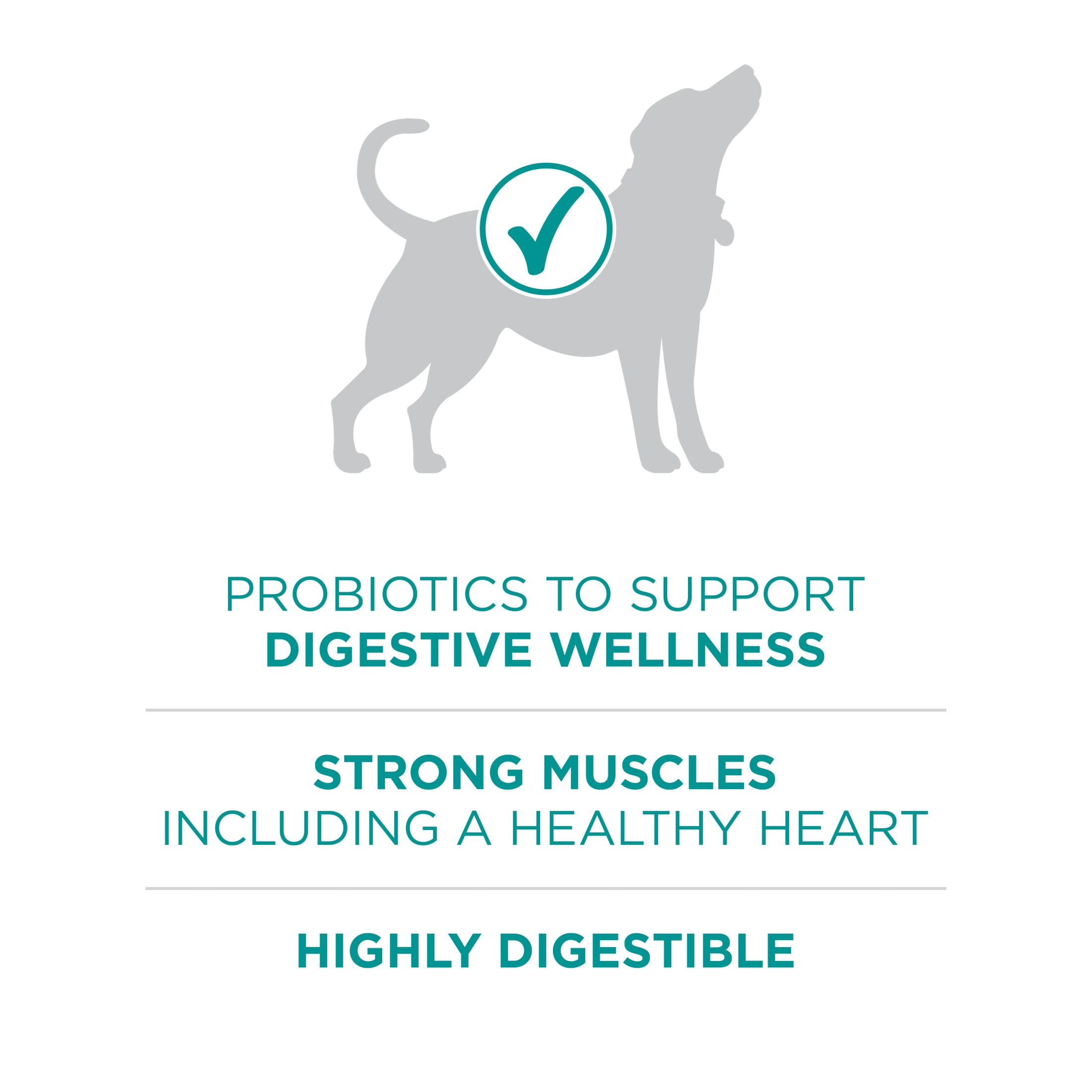 Purina One Plus Digestive Health Chicken & Rice Dry Dog Food, 16.5 lb photo 5