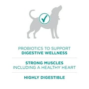 Purina ONE Plus Dry Dog Food Digestive Health, High Protein Natural Chicken & Rice, 16.5 lb Bag