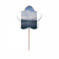 thumbnail image 1 of Blue Sky And White Clouds Toothpick Flags Star Lable Cupcake Picks, 1 of 3