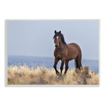 Stupell Industries Equestrian Horse in Wild Countryside Soft Blue Sky, 10 x 15, Designed by Larry McFerrin