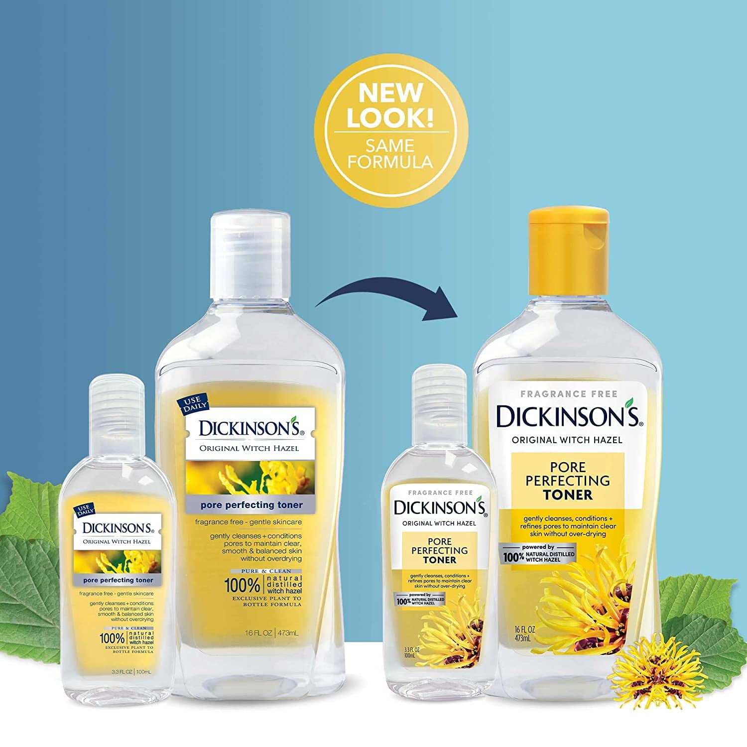 Dickinson's Original Witch Hazel Pore Perfecting Toner 16 oz, Pack of 6