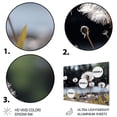 thumbnail image 3 of Designart "White Black Dandelion I" Floral Metal Art Print, 3 of 5