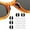 White and Black, variant on 10 Pairs Non-Slip Stick on Nose Pads, Adhesive Silicone Glasses Nose Pieces Pad for Eyeglass Sunglasses(Clear)
