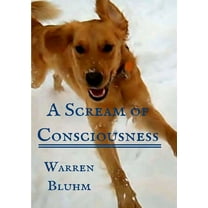 A Scream of Consciousness (Paperback)
