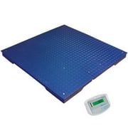 2500 x 0.5 lbs NTEP Platform with GK Indicator