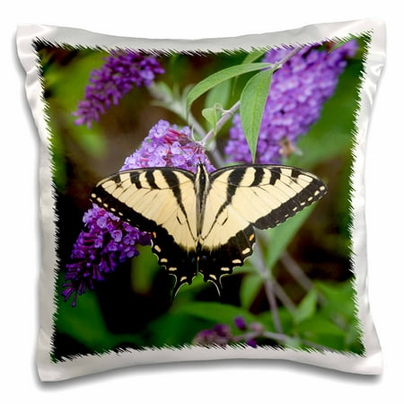 3dRose Eastern Tiger Swallowtail Butterfly male on Butterfly Bush, Illinois - Pillow Case, 16 by