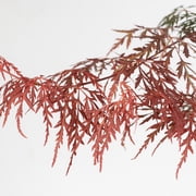 Perfect Plants Orangeola Japanese Maple Tree 1 Gallon