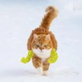 thumbnail image 4 of Cat Muscle Arm Halloween Cat Costume Accessories 3D Printed Cat Neck Arm Strap Muscles Suitable For Pet Role Playing Halloween Costume Props Adjustable Lightweight Design Blac, 4 of 5