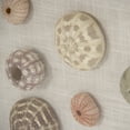 thumbnail image 2 of Abstract Shell Wall Art, 2 of 2