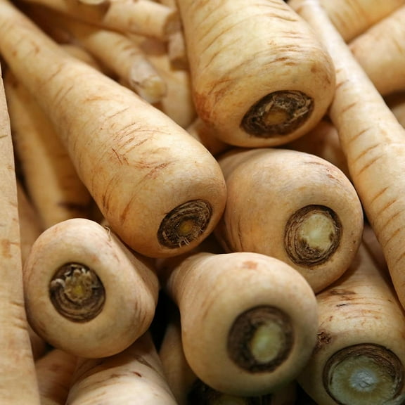 Hollow Crown Parsnip Garden Seeds - 3 g Packet ~750 Seeds - Non-GMO, Heirloom Vegetable Gardening Seeds - Open Pollinated