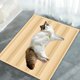 thumbnail image 5 of Cojín de gel refrescante para perros y gatos | Alfombrilla de verano impermeable | Almohadilla de gel gruesa de tres capas | Antideslizante | Uso en interiores y exteriores | Fácil de limpiar |, 5 of 5