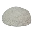 thumbnail image 1 of Lampe d'Accent en Résine LED de 6 Pouces en Forme de Corail, Lumière Décorative pour Table de Mer, Décoration Nautique pour la Maison, 1 of 5