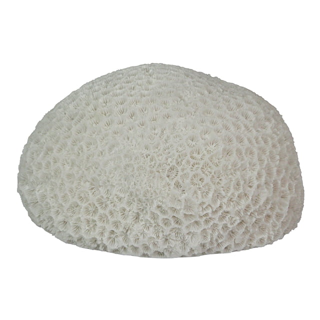 Lampe d'Accent en Résine LED de 6 Pouces en Forme de Corail, Lumière Décorative pour Table de Mer, Décoration Nautique pour la Maison