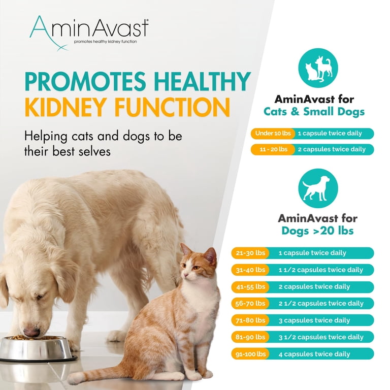 AminAvast Kidney Support for Cats & Small Dogs, 300mg, 60 Capsules