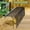 Black, variant on 72 in Heavy Duty Pine Straw Rake 30 Coil Spring Tines Durable Powder Coated Steel Tow Behind Landscape Rake with 3 Point Hitch Receiver Attachment Fit to Cat0 Cat 1 Tractors for Leaves Grass Yellow