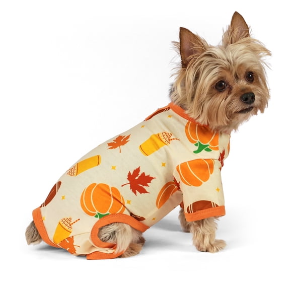 Vibrant Life Halloween Pajamas for Dogs and Cats, Pumpkins and Leaves, Orange, XS
