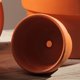 thumbnail image 5 of 20 macetas de terracota rojas con agujero para cactus y suculentas (3 x 3 cm), 5 of 6