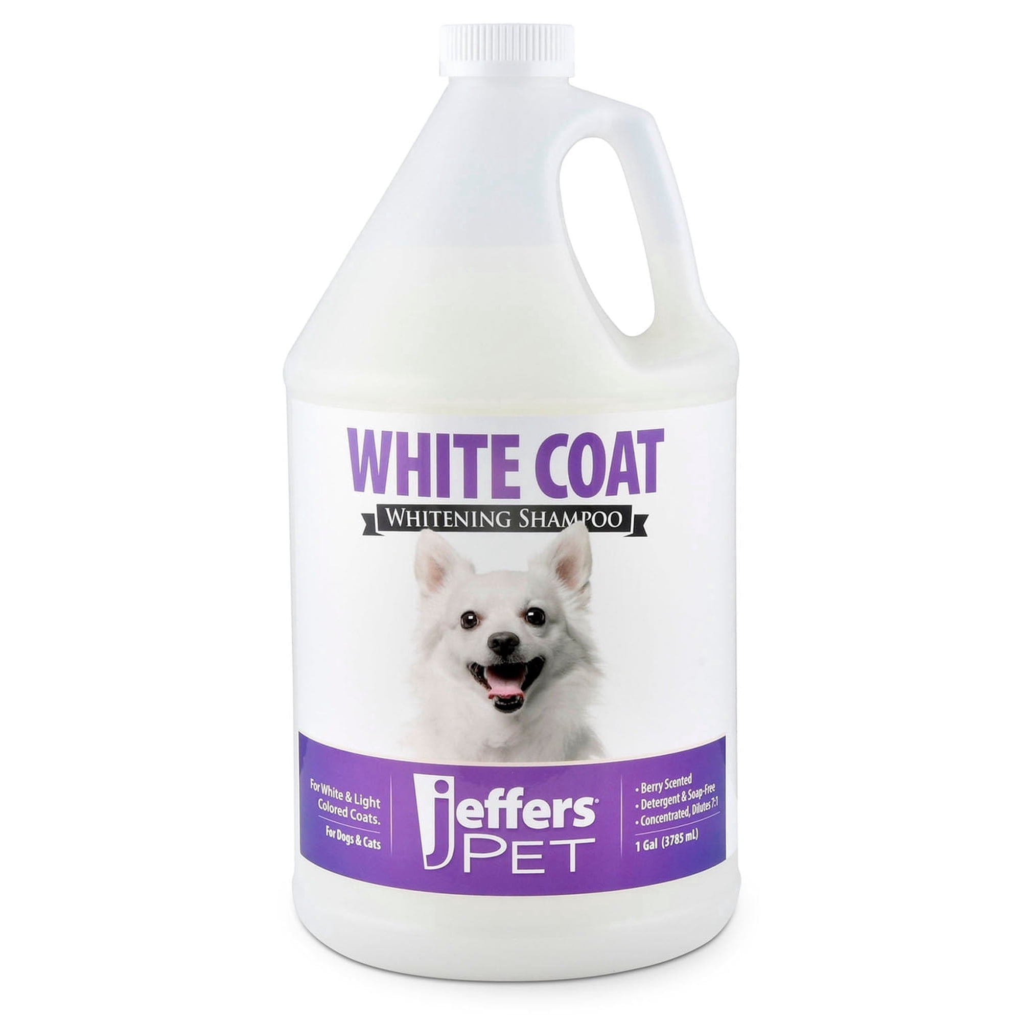 Jeffers Pet White Coat Whitening Shampoo for Dogs & Cats 128 oz – Concentrated Coconut Based Soap Free Grooming Shampoo, Berry Scent Conditioning Coat Care Formula, White & Light Coat Essentials