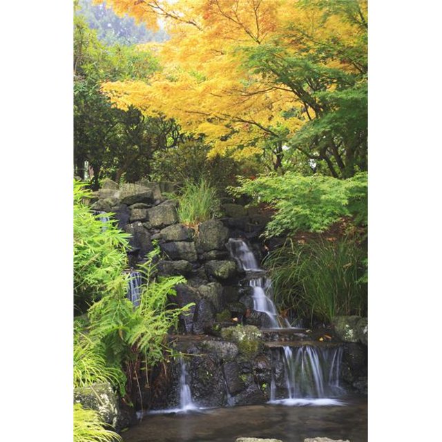 Posterazzi DPI1868394 Forest Poster Print, 12 x 19