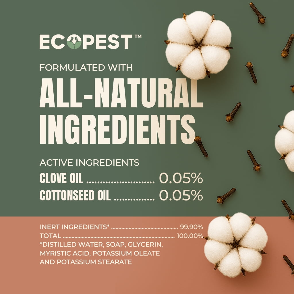 Boxelder Bug & Asian Lady Beetle Spray | Natural, Plant-Based Insect Killer for Indoor and Outdoor with Clove Oil | Home Pest Control for Boxelder Bugs, Asian Lady Beetles, and Carpet Beetles, 22 oz.